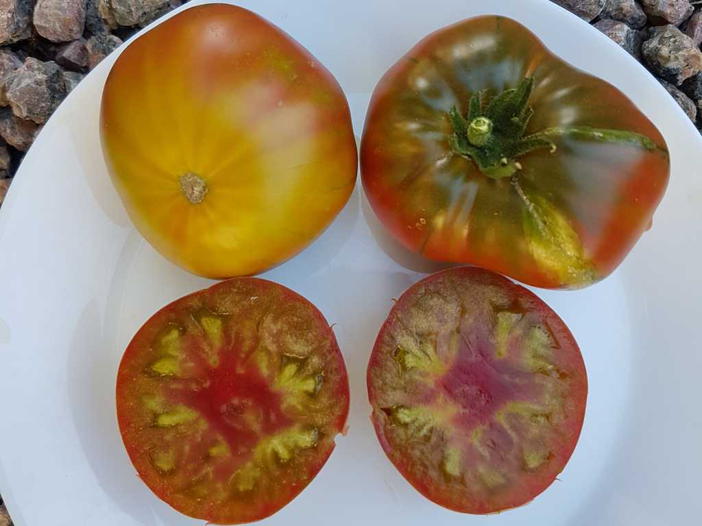 Red Target -  Krasnaya Mishen